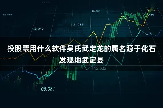 投股票用什么软件吴氏武定龙的属名源于化石发现地武定县